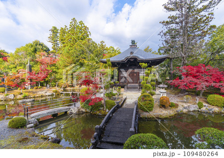 秋の京都　清凉寺（嵯峨釈迦堂）　渡り廊下からみた紅葉の弁天堂 109480264