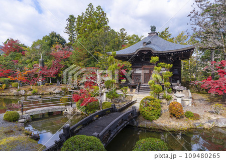 秋の京都 清凉寺(嵯峨釈迦堂) 渡り廊下からみた紅葉の弁天堂 秋の京都 清凉寺(嵯峨釈迦堂) 渡り廊下からみた紅葉の弁天堂 109480265