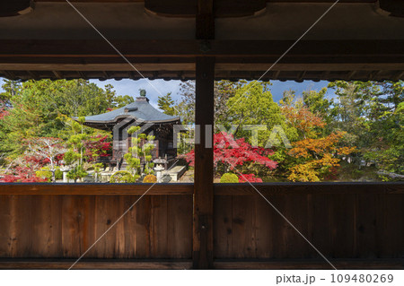 秋の京都 清凉寺(嵯峨釈迦堂) 渡り廊下からみた紅葉の弁天堂 秋の京都 清凉寺(嵯峨釈迦堂) 渡り廊下からみた紅葉の弁天堂 109480269