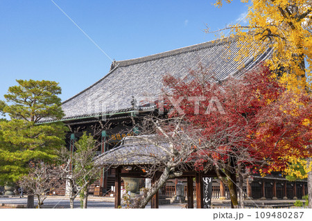 秋の京都 清凉寺(嵯峨釈迦堂)の本堂 秋の京都 清凉寺(嵯峨釈迦堂)の本堂 109480287