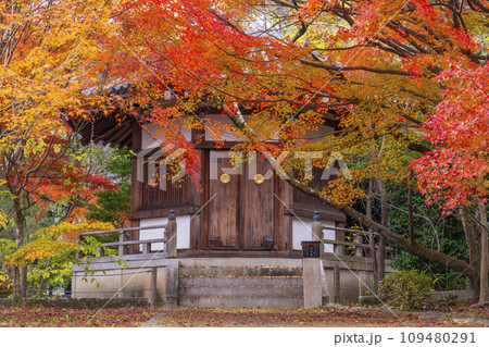 秋の京都 清凉寺(嵯峨釈迦堂) 紅葉と聖徳太子殿 秋の京都 清凉寺(嵯峨釈迦堂) 紅葉と聖徳太子殿 109480291