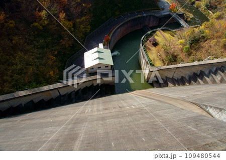 田無の堤から見る谷底の風景 109480544