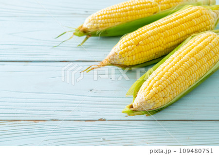 fresh corn on wood background 109480751