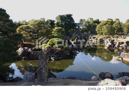 二条城の庭園　松の木がある風景 109480908
