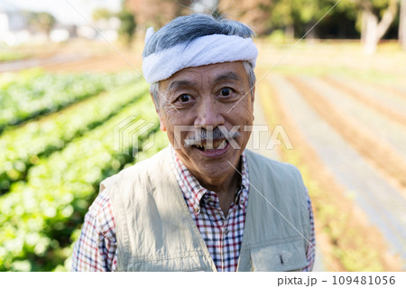 畑の野菜を眺める農家の男性 109481056