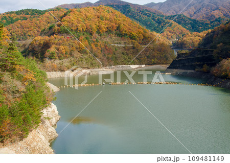 姉川ダムを囲む紅葉した山々 109481149