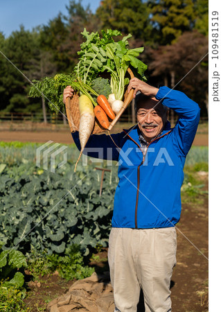 畑で野菜を育てる農家の男性 畑で野菜を育てる農家の男性 109481519