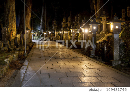 Stone lantern trail in Okunoin cemetery Stone lantern trail in Okunoin cemetery 109481746