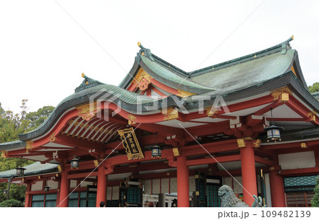西宮神社 拝殿 西宮神社 拝殿 109482139