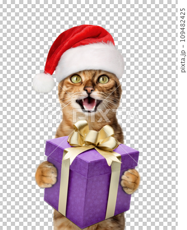 A joyful cat in a Santa hat smiles and holds a gift in his paws. A joyful cat in a Santa hat smiles and holds a gift in his paws. 109482425