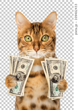 Funny rich red cat with money. 109482433