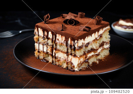 Chocolate and coffee cake in icing with chocolate chips 109482520