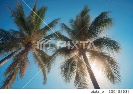Tropical Palm Tree on Paradise Island with Clear Sky and Ocean Tropical Palm Tree on Paradise Island with Clear Sky and Ocean 109482638