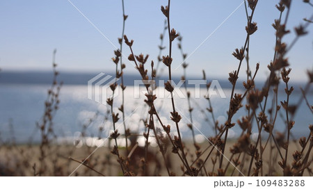 Scenic blurred background view on beach Scenic blurred background view on beach 109483288