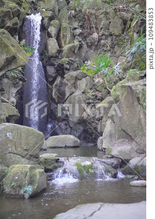 千葉県成田山。雄飛の滝。 千葉県成田山。雄飛の滝。 109483853