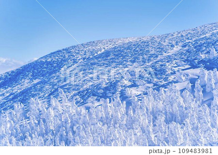 青空と蔵王の樹氷　スノーモンスター　山形県山形市 109483981