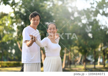 Active middle aged couple practicing Tai Chi Chuan in the park with sunrise. Mental health and wellbeing concept 109484071