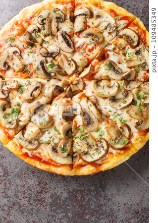 Italian pizza with a topping of mushrooms, garlic, tomato sauce and cheese on a golden crisp crust close-up on a wooden board on the table. Vertical top view Italian pizza with a topping of mushrooms, garlic, tomato sauce and cheese on a golden crisp crust close-up on a wooden board on the table. Vertical top view 109485349