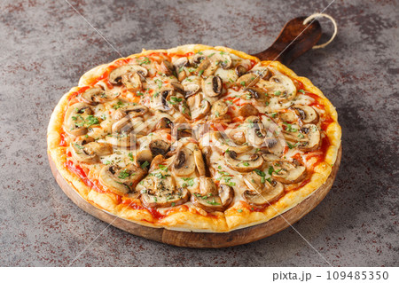 Mushroom vegetarian pizza with portobello, mozzarella, garlic, tomatoes and parsley close-up on a wooden board. Horizontal 109485350