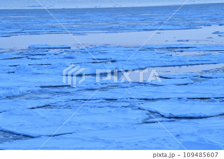 流氷クルーズ、網走、北海道 流氷クルーズ、網走、北海道 109485607
