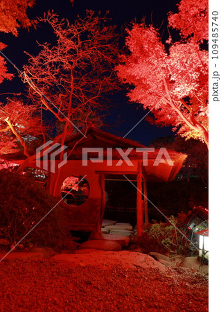 八芳園の秋 ライトアップ 八芳園の秋 ライトアップ 109485740