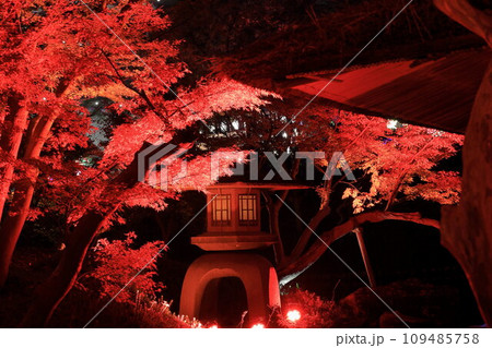 八芳園の秋 ライトアップ 八芳園の秋 ライトアップ 109485758