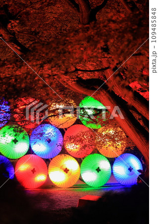 八芳園 紅葉と和傘 八芳園 紅葉と和傘 109485848
