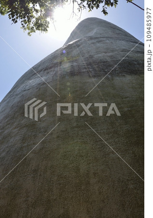 大船観音様のお背中 大船観音様のお背中 109485977