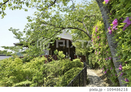 大船観音寺の慈光堂 109486218