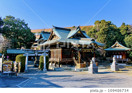 【東京】春の赤羽八幡神社 社務所前から見渡す境内 【東京】春の赤羽八幡神社 社務所前から見渡す境内 109486734
