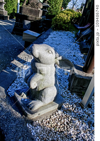 【東京】春の赤羽八幡神社　境内の因幡の白兎の石像 109486740