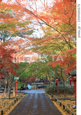 世田谷区 秋の九品仏浄真寺の紅葉 世田谷区 秋の九品仏浄真寺の紅葉 109486870