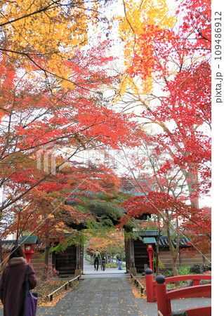 世田谷区　秋の九品仏浄真寺の紅葉　 109486912