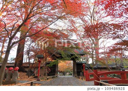 世田谷区　秋の九品仏浄真寺の紅葉　 109486928
