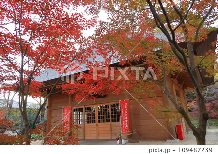 東京都世田谷区　秋の九品仏浄真寺の紅葉　閻魔堂 109487239