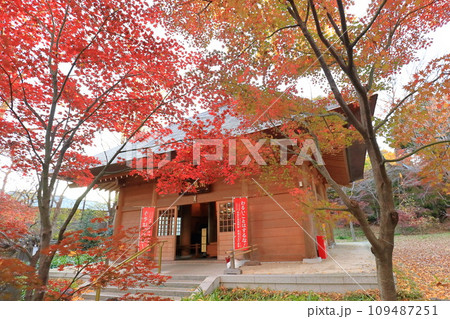 東京都世田谷区 秋の九品仏浄真寺の紅葉 閻魔堂 東京都世田谷区 秋の九品仏浄真寺の紅葉 閻魔堂 109487251