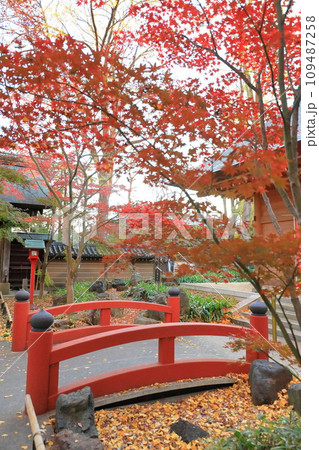 東京都世田谷区　秋の九品仏浄真寺の紅葉　閻魔堂 109487258