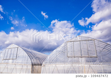 青空と並んだビニールハウス 109487472