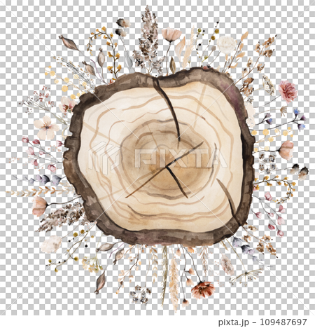 Watercolor wooden slice with brown and beige wildflowers bouquet. Isolated illustration Watercolor wooden slice with brown and beige wildflowers bouquet. Isolated illustration 109487697