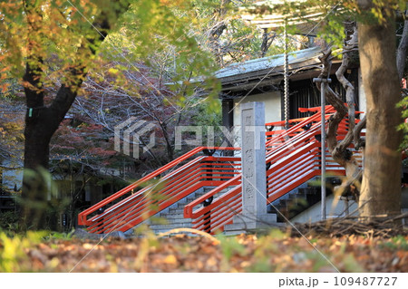 東京都世田谷区 秋の九品仏浄真寺の紅葉 東京都世田谷区 秋の九品仏浄真寺の紅葉 109487727
