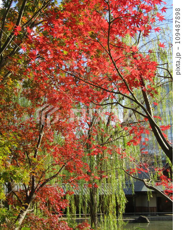檜町公園 109487898