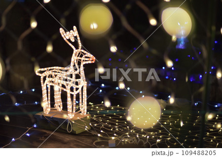 光降る真冬のイルミネーション 109488205