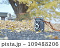 イチョウとレトロな二眼レフカメラ 109488206