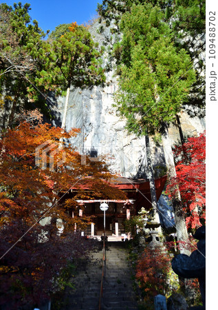 埼玉県秩父市影森の札所28番石龍山　色付く晩秋の橋立堂 109488702