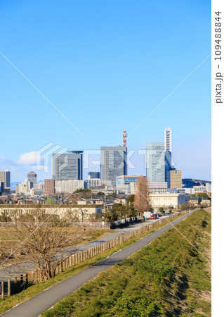 「埼玉県」見沼田んぼから望む青空とさいたま新都心 「埼玉県」見沼田んぼから望む青空とさいたま新都心 109488844