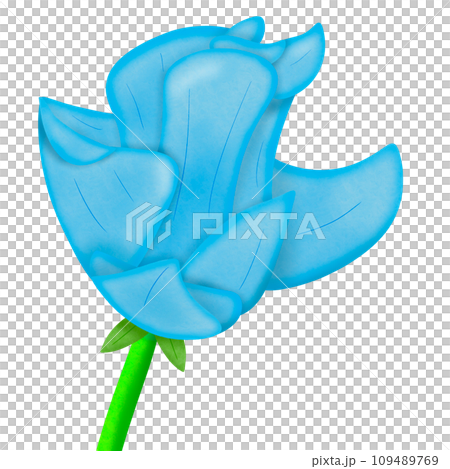 flower with water drops 109489769