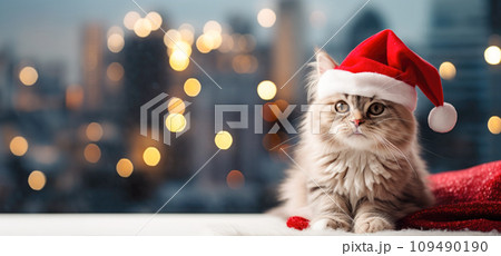 Festive feline in a Christmas apartment, a cozy companion amid holiday decorations Festive feline in a Christmas apartment, a cozy companion amid holiday decorations 109490190