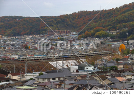 秋の山科疏水の高台から望む東海道本線223系新快速（Aシート連結） 109490265