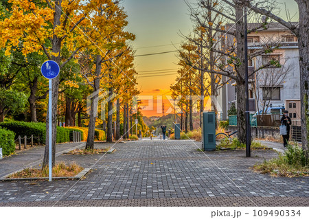 横浜市都筑区の都市風景　中川駅 109490334