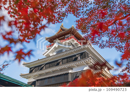 秋の清洲城〈愛知県清須市〉 109490723